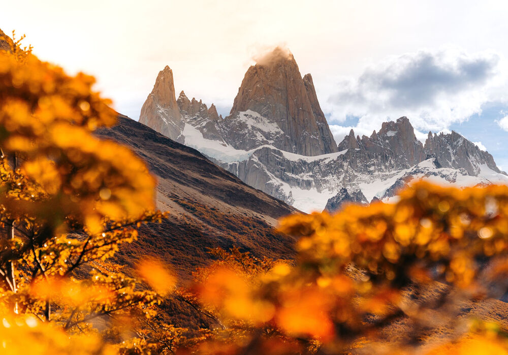 Argentina's Patagonia Fall Colors Hiking & Walking Tour — Backroads