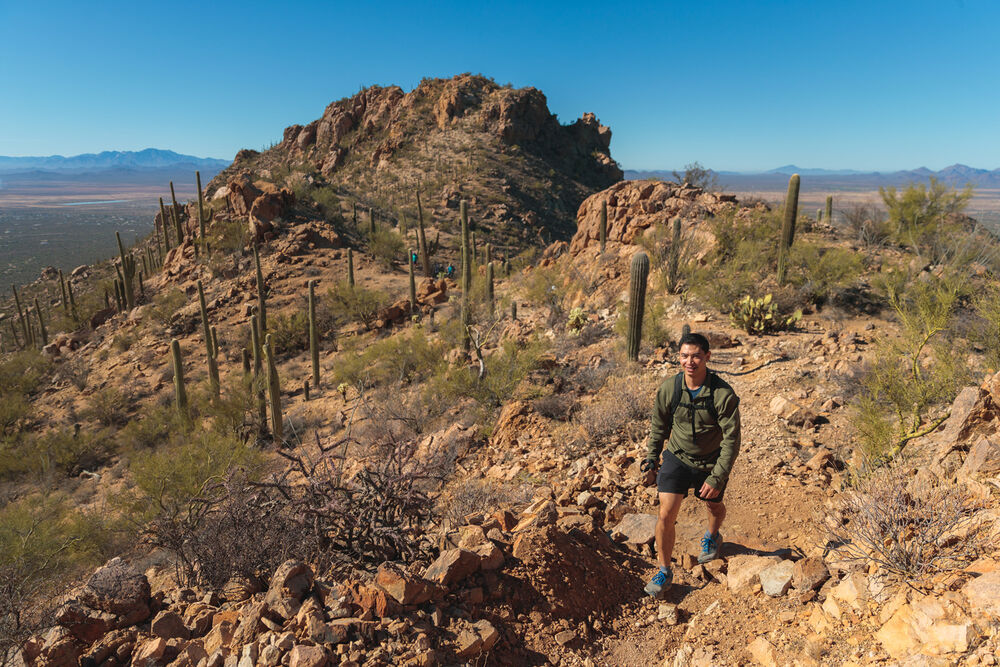 Arizona's Saguaro National Park Hiking & Walking Tour — Backroads
