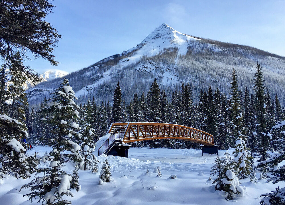 Banff to Lake Louise Family Snow Adventure Tour — Backroads