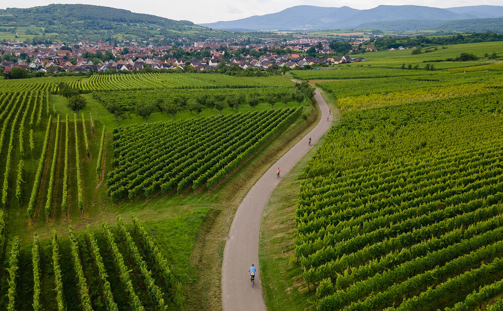 Champagne & Alsace Easygoing E-bike Tour — Backroads