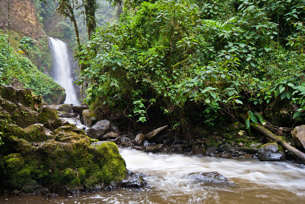 Costa Rica Jungles & Volcanoes Family Multi-Adventure Tour — Backroads