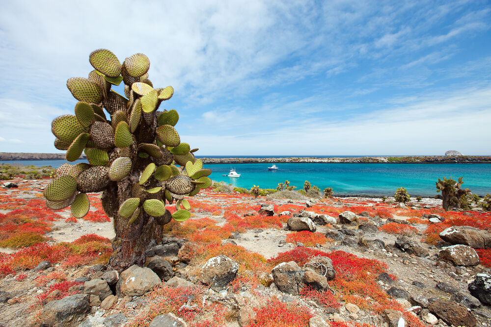 Galápagos Ocean Cruise Multi-Adventure Tour — Backroads