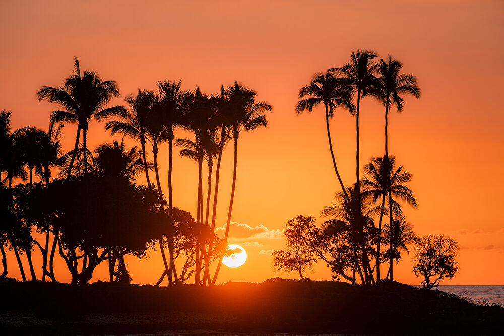 Hawaii's Big Island Multi-Adventure Tour — Backroads