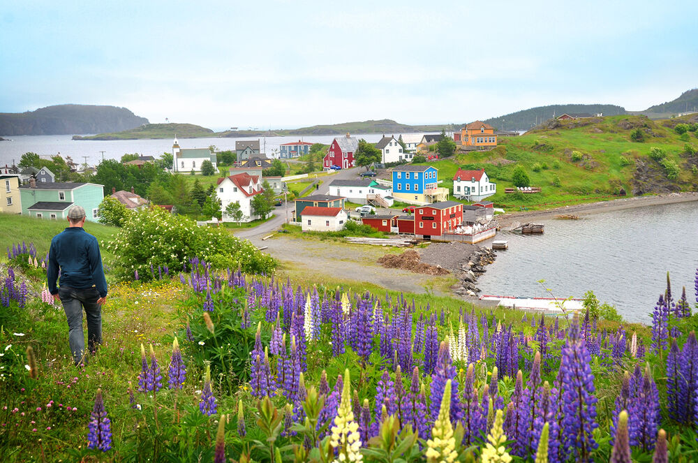 Newfoundland Hiking & Walking Tour — Backroads