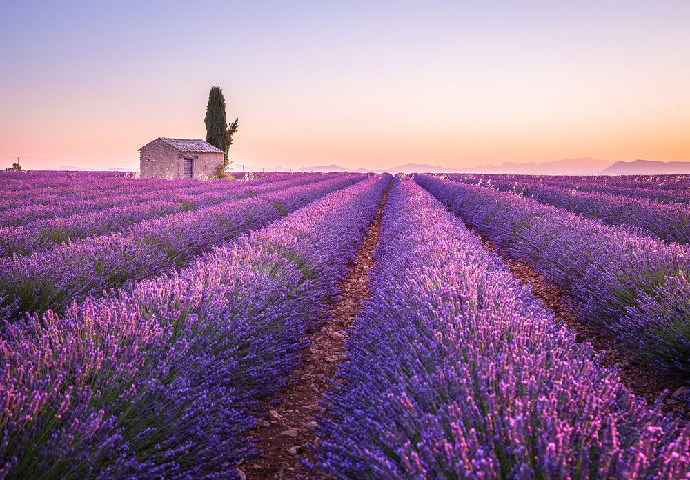 Provence Active Culinary Hiking & Walking Tour — Backroads