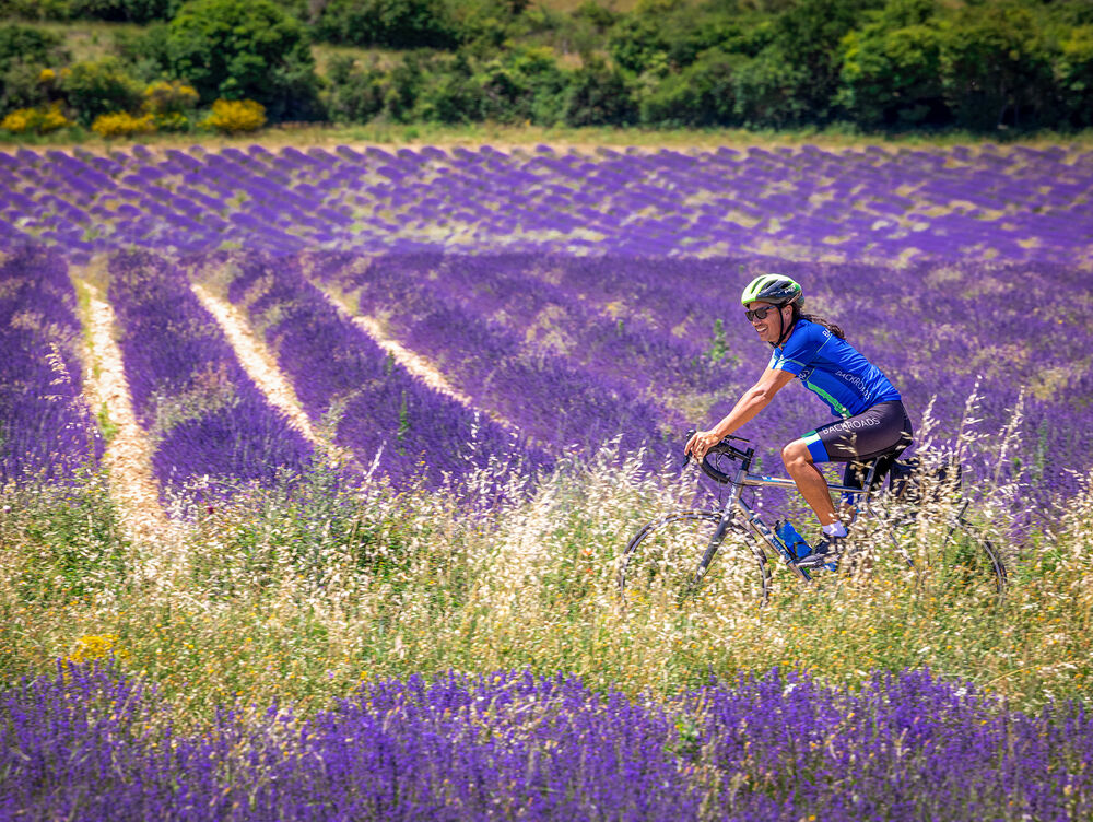 Provence Wine Country to Luberon Bike Tour — Backroads