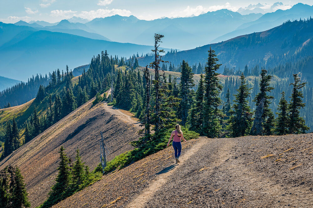 San Juan Islands to Olympic National Park Multi-Adventure Tour — Backroads
