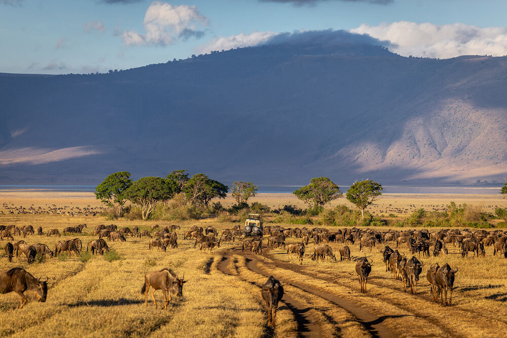 Tanzania & Zanzibar Active Safari — Backroads