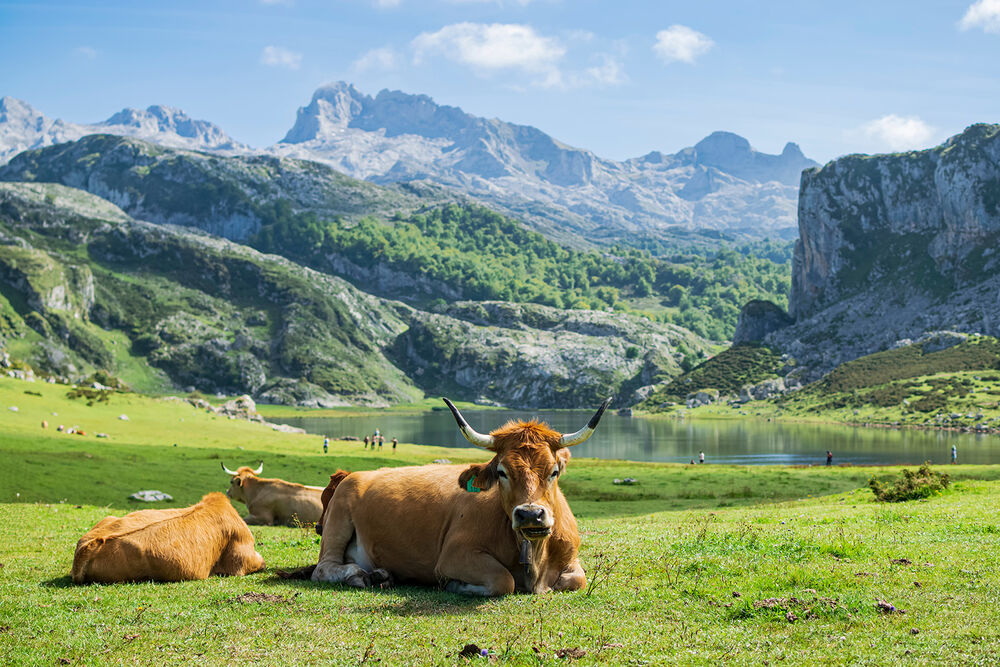 Spain's Camino del Norte Hiking & Walking Tour — Backroads