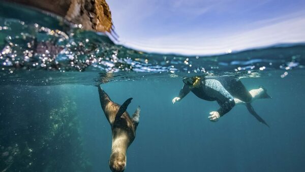 Galapagos cruise