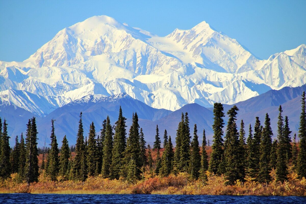Alaska’s Untamed Wilderness — Odysseys Unlimited