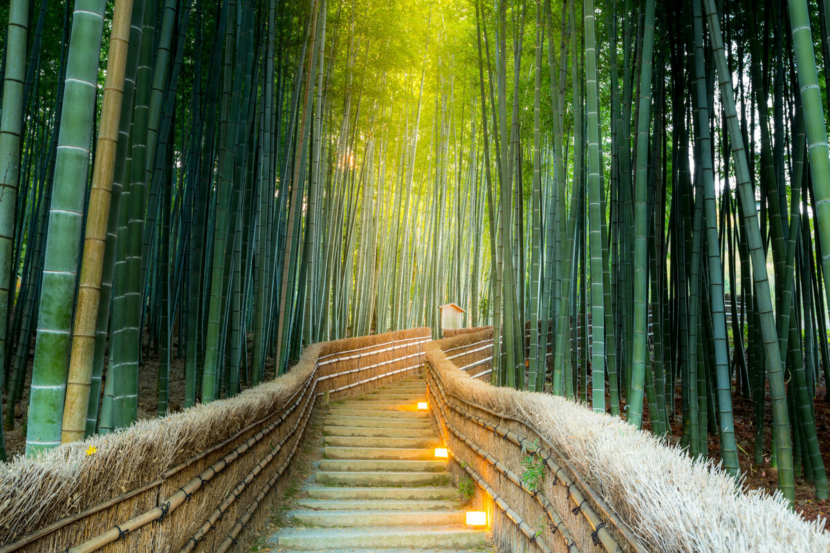 Insider’s Japan — Odysseys Unlimited