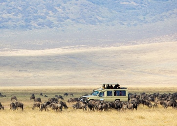 Africa